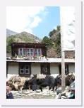 15April05 - EverestTrek 065 * 1536 x 2048 * (623KB)